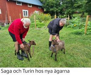 Saga o Turin.jpg
